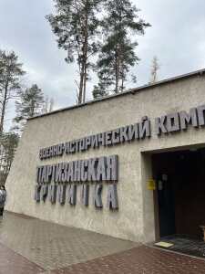 IMG-131ec15b1c969217ecbed8a280e4f8b4-V