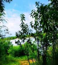 IMG-37b5d7c07fc00cc697f61ad7c73313c4-V