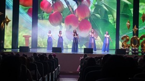 IMG-81893c6170a2d2a5a094970f3d5daa25-V