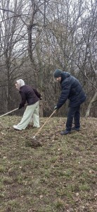 IMG-8af9ead08b85b636eb934cb39b974aa0-V