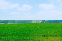 IMG-d71b1c66a4a3b76a2d21df1220b990eb-V