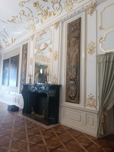 IMG_20250428_141551_875