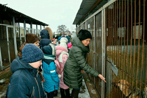 Приют.-Верные-друзья-2018-(1)