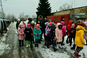 Приют.-Верные-друзья-2018-(5)